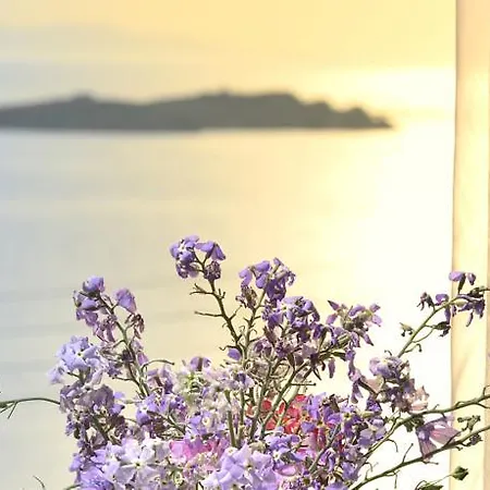 Absolute Mykonos &
